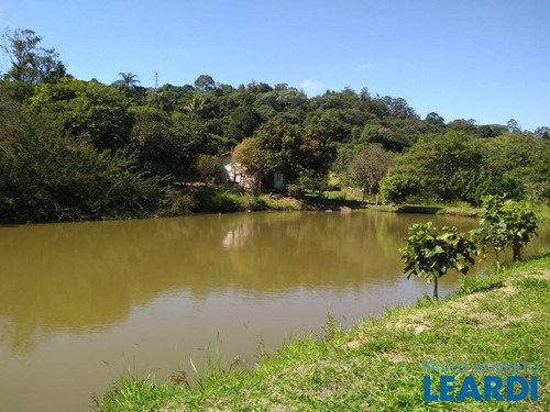 Imagem 8 de 15 de Chacara - Monte Alegre - Sp - 601688