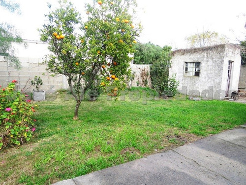 Imagen 10 de 11 de En Venta Casa De Dos Dormitorios En Rosario Colonia