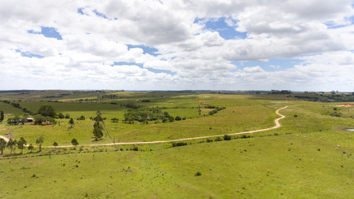 Campo En Venta