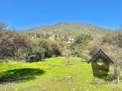 Lo Castro, Quebrada De Alvarado, Olmue. 5.000m2