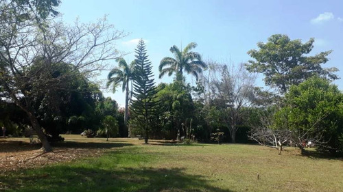 Imagen 21 de 22 de Venta Parcela Safari Country Club, Valencia