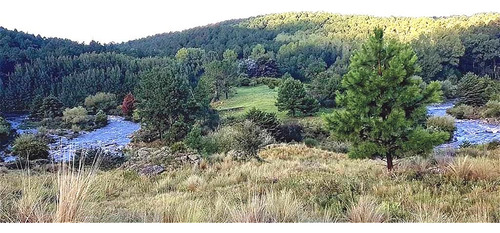 Terrenos En Venta En Villa Berna, Tu Oportunidad Para Vivir En La Naturaleza!!!