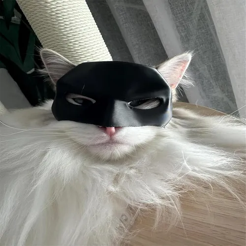 Sombrero De Cosplay De Mascara De Batman Disfraz Para Gato