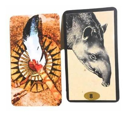 Animal Totem Oracle Deck - Livro + 150 Cartas