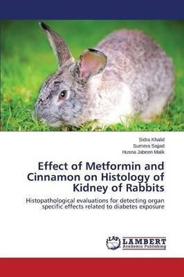 Effect Of Metformin And Cinnamon On Histology Of Kidney O...