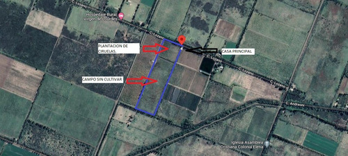 Imagen 6 de 19 de Vendo Finca De 6 Ha Y Fracción, Con Casa De De Gran Dimensión!!