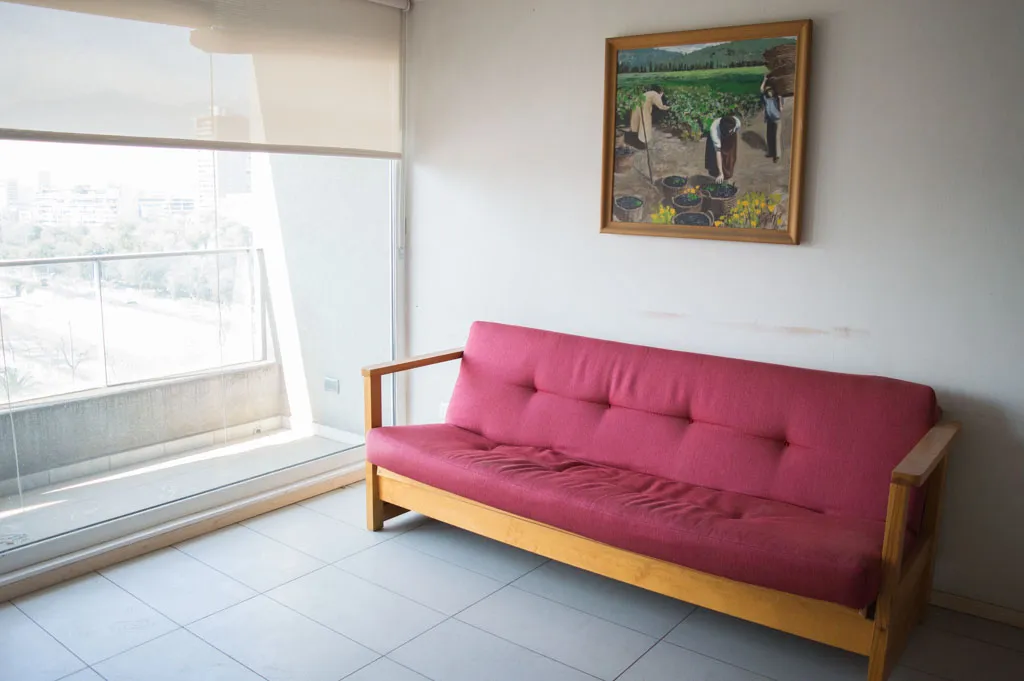 Imagen 3 de 29 de Arriendo Departamento Amoblado Santa Maria- Baquedano (2000)