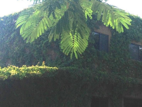 Venta Hostal Chiconcuac En Xochitepec Morelos Fraccionamiento La Leona