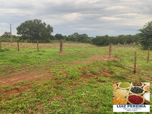 Imagem 4 de 15 de Fazenda À Venda Em Monte Santo - To - De 83 Alqueirões (dupla Aptidão) - 1623