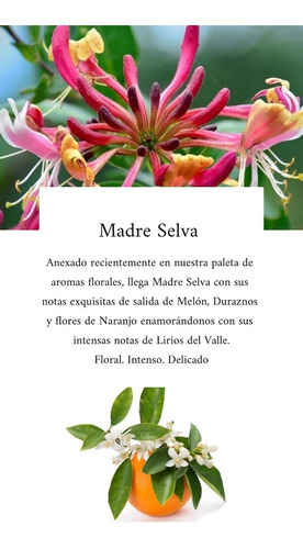 Imagen 4 de 6 de Fragancia Textil Perfumina Aromatizador Ambientes 250ml