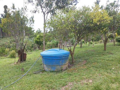 Chácara A Venda No Bairro Centro Em Bocaiúva Do Sul - Pr. - 301-1