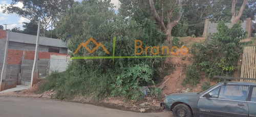Imagem 3 de 4 de Terreno - Te00026 - 69385679