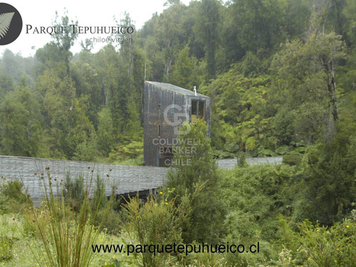 Campo. Parque Tepuhueico