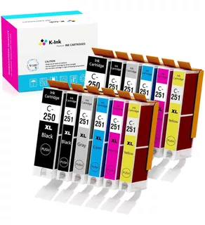 Canon Printer Ink 251