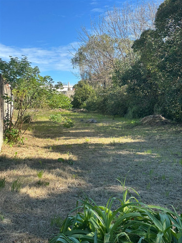 Se Alquila Terreno En Carrasco Norte