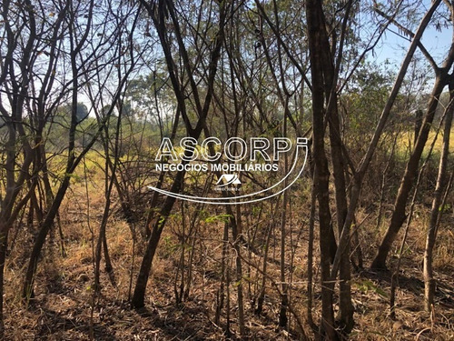 Imagem 19 de 22 de Ótimo Terreno Para Chácara No Ondinhas Em Piracicaba (código Ch00043) - Ch00043 - 69881080