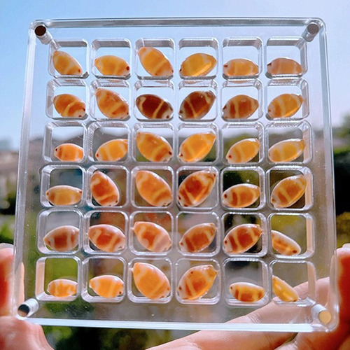 D Caja De Almacenamiento Magnética Acrílica Con Forma De.