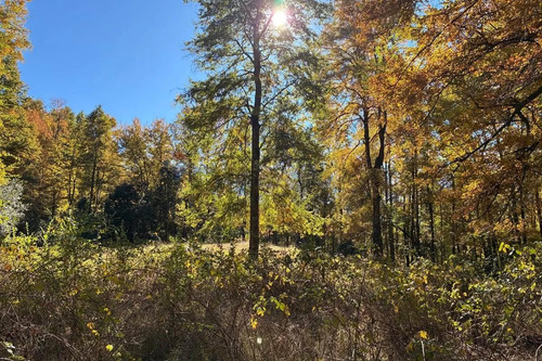 Venta Campo Curarrehue