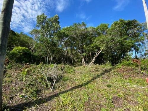 Imagem 1 de 6 de Terreno Na Praia Com 280 M². Itanhaém-sp | 7696-pc
