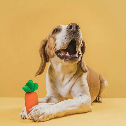 S+ Juguetes Interactivos For Perros For El Aburrimiento