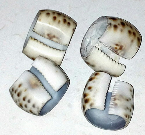 Set Porta-servilletas, Artesanía Filipina Caracol Porcelana (Usado)
