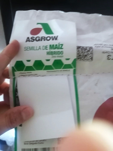 Semilla De Maíz Elotero 7573 Asgrow 1 Kg Agranel/tratamiento
