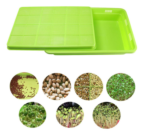 Bandeja Germinadora De Semillas, Cultivador De, 6 Verde .
