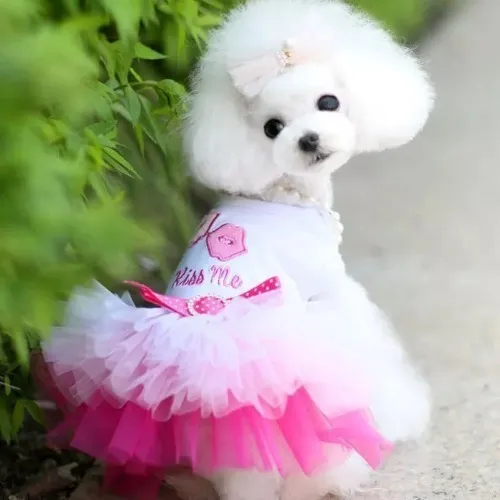 Vestido Tutu Para Perritas Mascotas Cuotas sin inter s