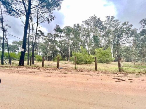 Imagen 9 de 10 de Venta Lote Apto Ph - Zona Comercial - Punta Del Este - Ref:4481520