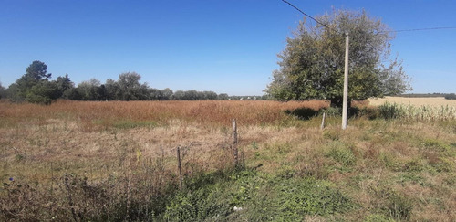 Imagen 8 de 9 de Campo 7ha - Apto Loteo - Con Escritura - Alta Gracia