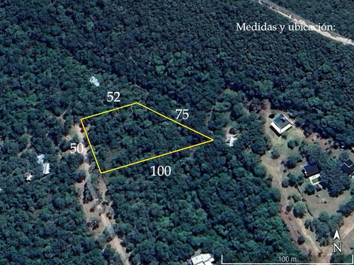 En Venta Espectacular Lote Arbolado De 4000 M2 | Villa De Las Rosas | Escritura Y Servicios