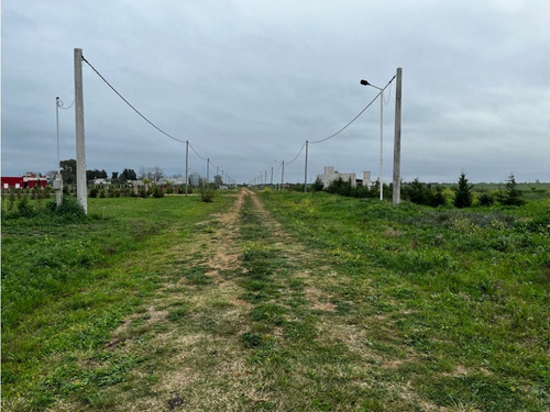 Vendo Lote De 1 Hectárea En San Justo, Entre Ríos.