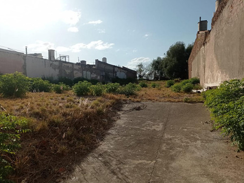 Terreno En Venta / Alquiler - San Martin