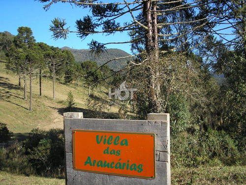 Imagem 2 de 15 de Chacara - Corvo Branco - Ref: 2781 - V-hi73608