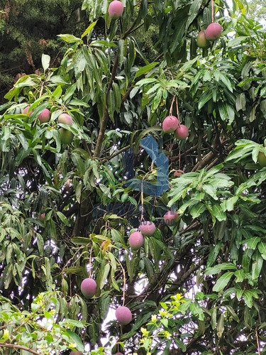 Imagem 18 de 30 de Chácara No Condomínio Porta Do Sol Com 3 Dormitórios Em Mairinque