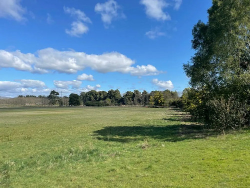 Venta Campo Agrícola Freire