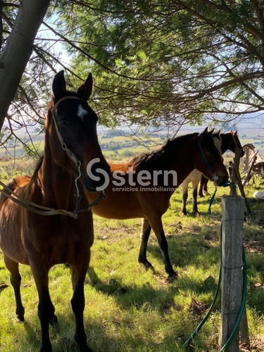 Venta De Chacras, Camino Valdivia, Maldonado- Ref: 1559