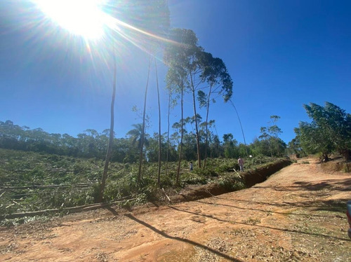 Imagem 8 de 10 de G07- Chácara Com O Melhor Preço