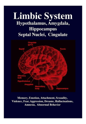 Libro: Sistema Límbico: Amígdala, Hipotálamo, Núcleos Septal