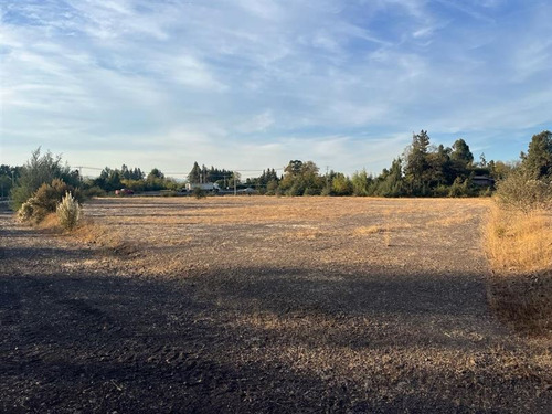 Imagen 5 de 8 de Agrícola En Venta En Curicó