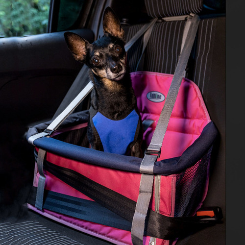 Assento Transpet Cadeira Tubline Big Carro Cães Gatos 10 Kg