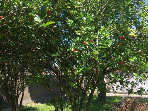 Imagem 7 de 14 de Vendo Casa No Jd Umuarama Em Itanhaém Litoral - 3904 | Npc