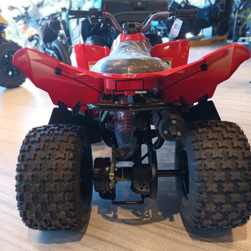 Imagen 3 de 15 de Canam Ds 90 Cuatri 0km No Yamaha Honda Motomel Usd