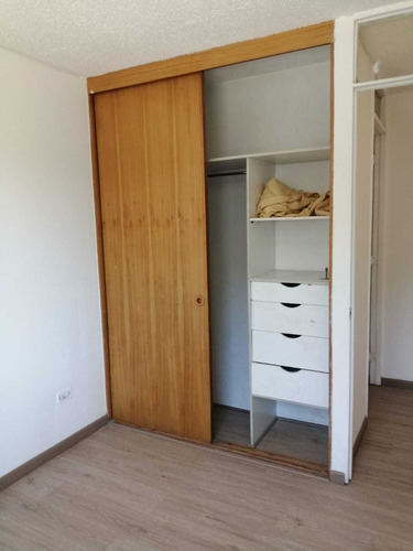 Balaguer / Quinchamalí, Excelente! (107481)
