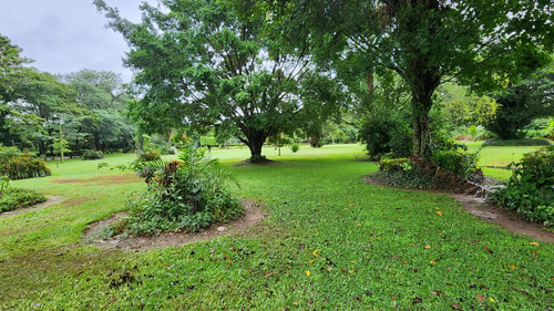 Imagen 9 de 9 de Amplio Terreno En Venta En Cond. Privado Club Campestre