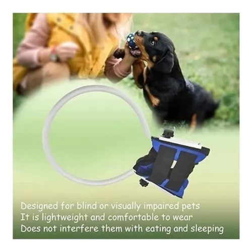 Para Anillo Anticolisión 2024 Para Perros Ciegos, Anillo De