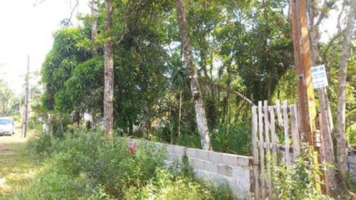 Imagem 19 de 24 de Chácara Com Edícula E Com 2.100 M² De Área Total, Em Itanhaém, No Bairro Palmeiras Ref: 9496/ac