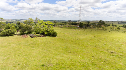 Campo En Venta