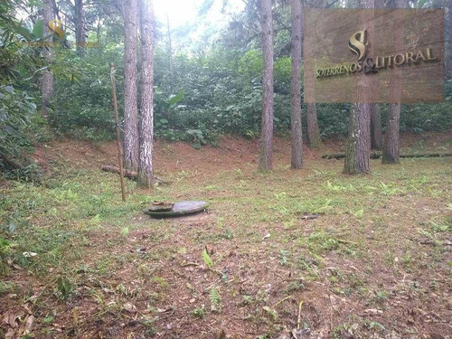 Imagem 11 de 30 de Chácara Santa Isabel - Ch0003