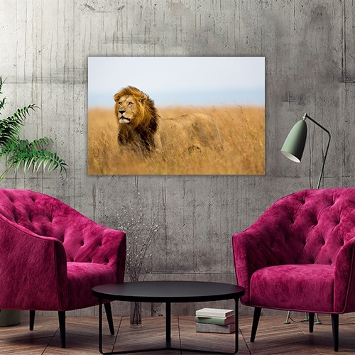 Cuadro Decorativo Animales Canvas Leon Poderoso Felino